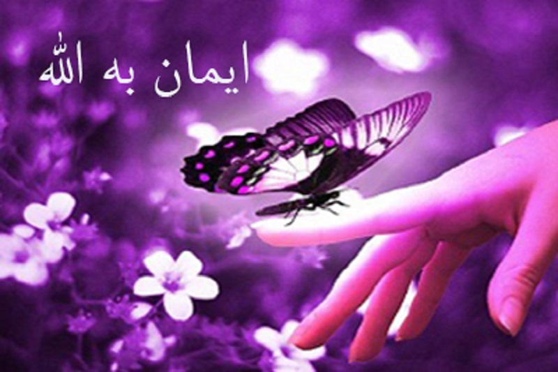 ثروت و معنوی شدن
